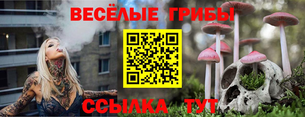 Псилоцибиновые грибы GOLDEN TEACHER  Галлюциногенные грибы Psilocybine cubensis  Лангепас  Вход с VPN 